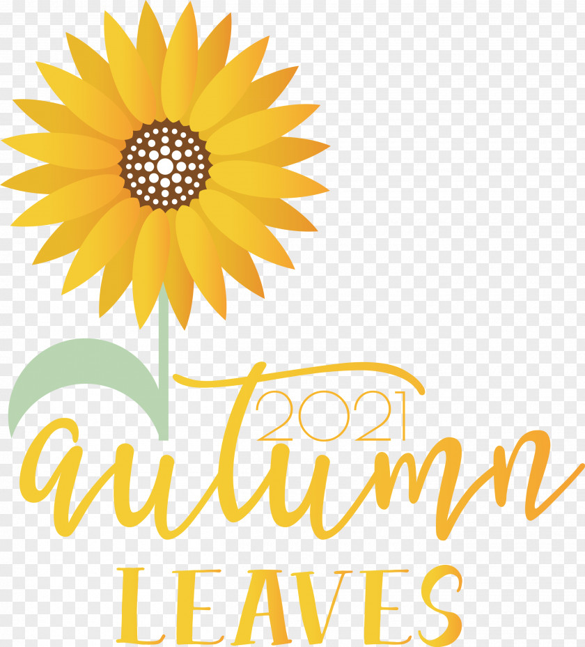 Autumn Leaves Autumn Fall PNG