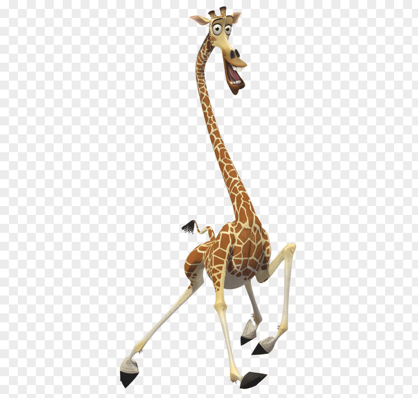 Giraffe Melman Gloria Skipper Kowalski PNG