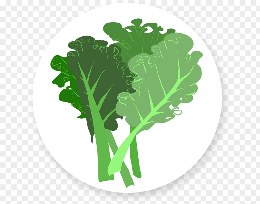Kale Leaf Vegetable Chard Herb PNG