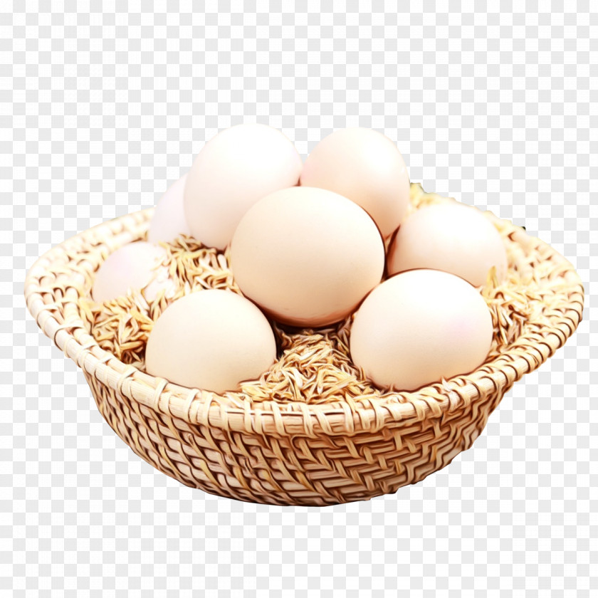 Bird Nest Gift Basket Egg PNG