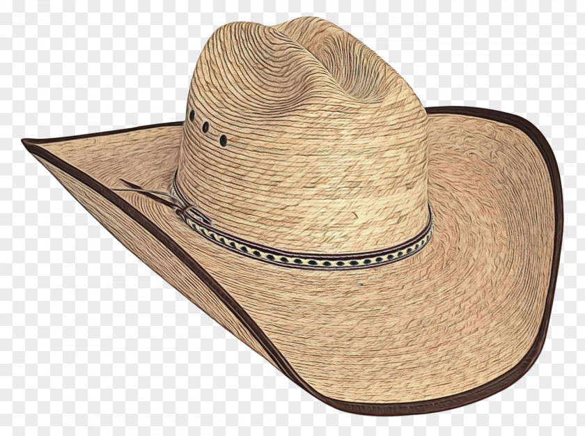 Costume Hat Fedora Sun PNG