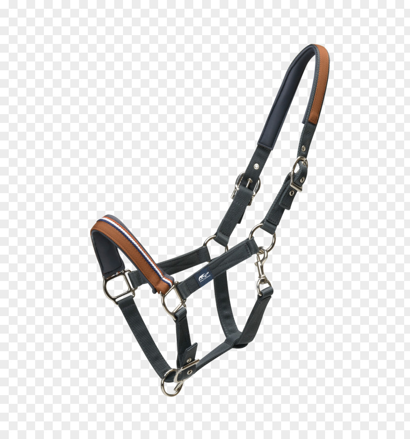 Horse Halter Lead Rope Leather PNG