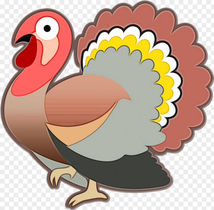 Chicken Turkey Bird Cartoon Clip Art Rooster Beak PNG