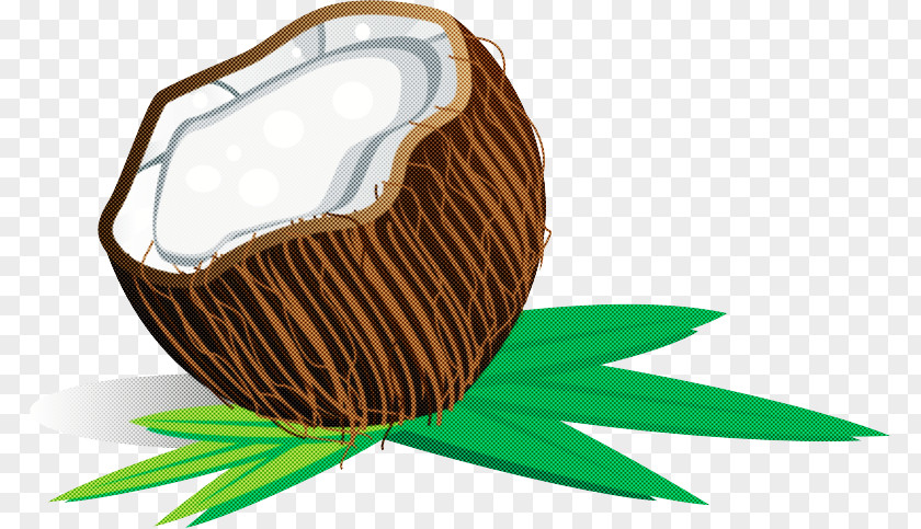 Coconut PNG