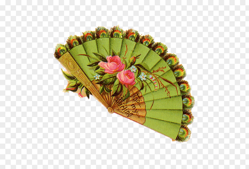 Hand Fan PNG