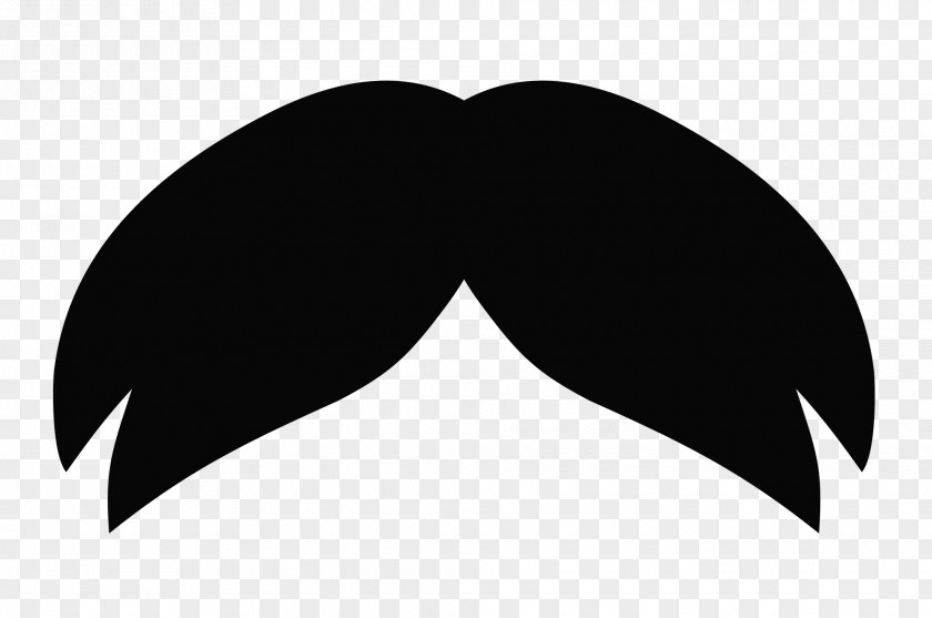 Moustache Beard Icon PNG