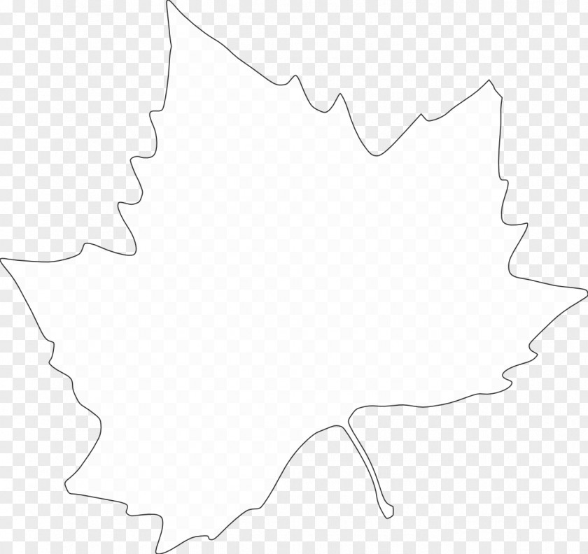 Leaf White Point Angle Clip Art PNG