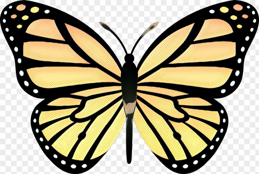Monarch Butterfly Clip Art Drawing Cartoon Cabbage White PNG