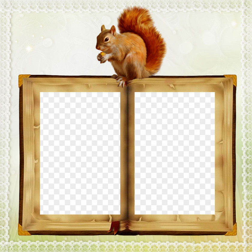 Squirrel Picture Frames PNG