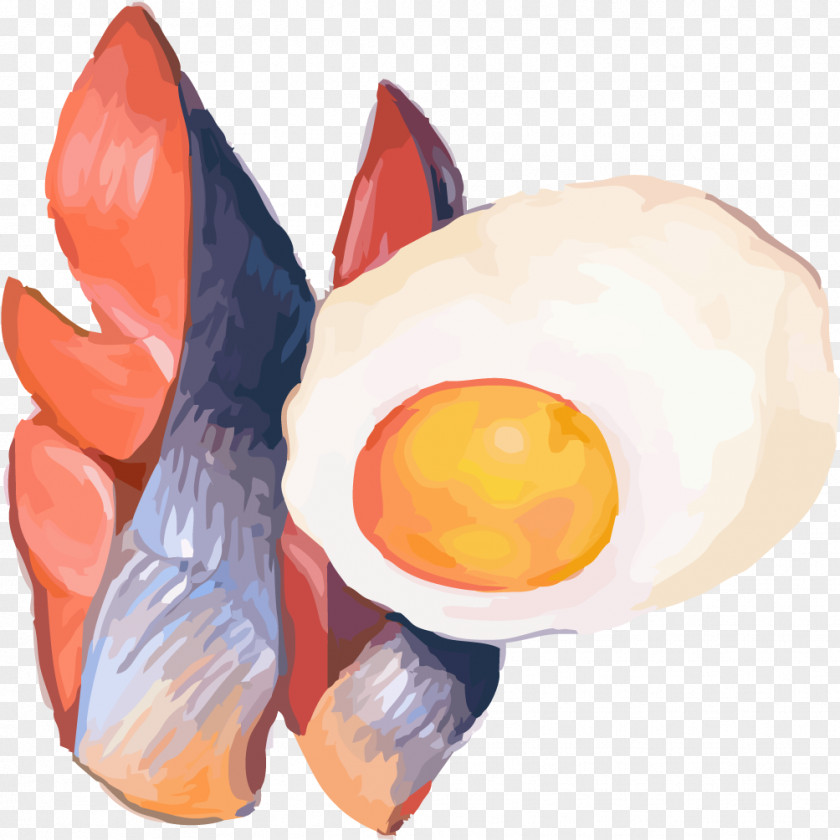 Creative Hand-painted Eggs Painted Chicken Egg PNG