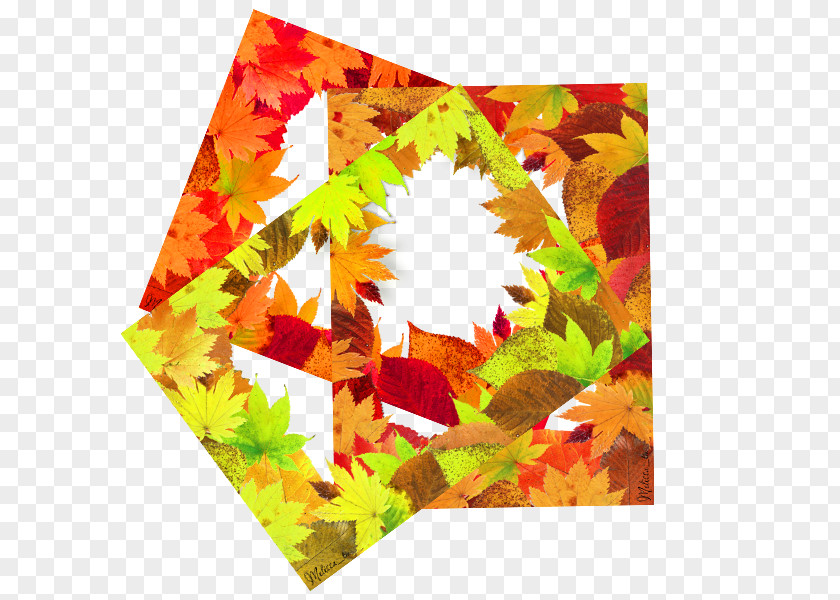 Hand Painted Leaf Frame Picture PNG