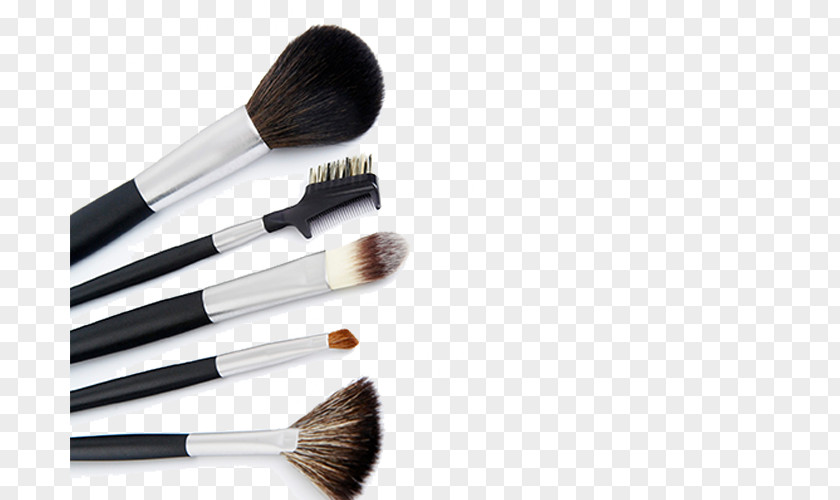 Makeup Tools Cosmetics Brush Make-up Eye Shadow PNG