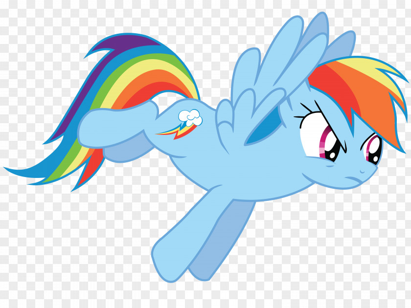 My Little Pony Rainbow Dash Pinkie Pie Twilight Sparkle Applejack PNG