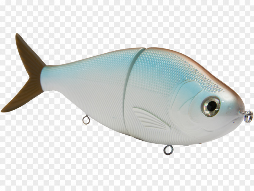 Redfish Milkfish Marine Biology Mammal Tow Hitch PNG