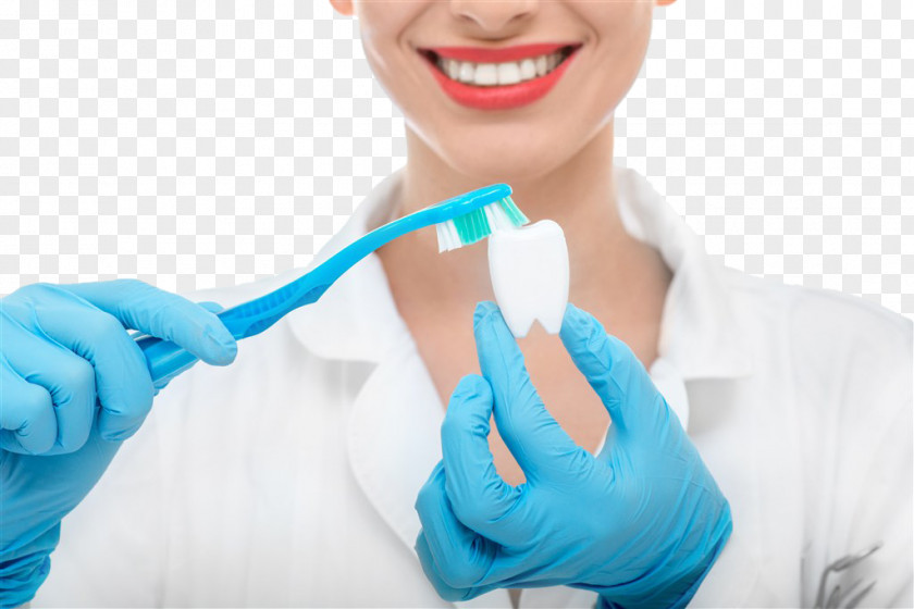 Smiling Beauty Holding A Toothbrush Hygiene Dentistry Human Mouth Tooth Brushing PNG