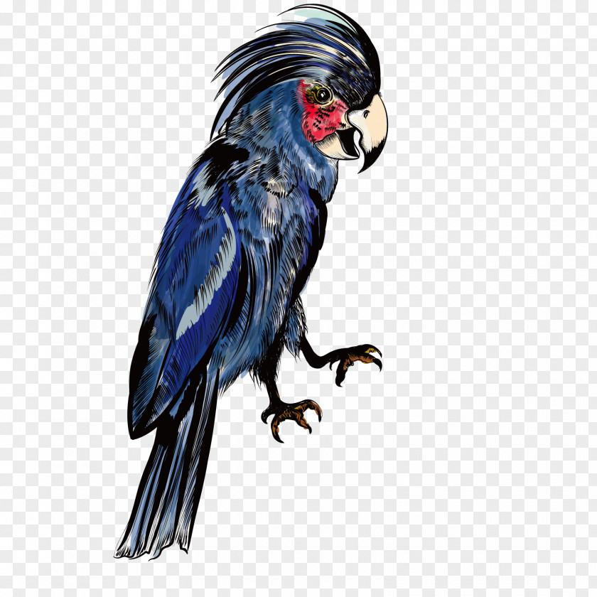 Vector Blue Parrot Macaw PNG