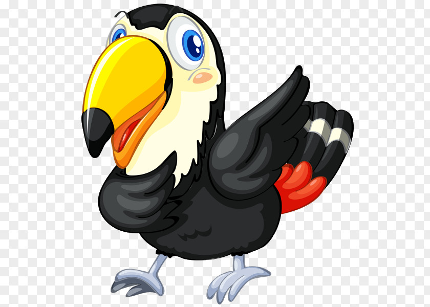 Bullfinch Bird Lettered Aracari Royalty-free PNG