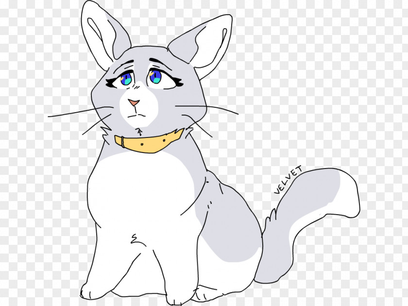 Kitten Whiskers Domestic Short-haired Cat Drawing PNG