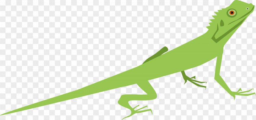 Lizard Reptile Eidechse Clip Art PNG