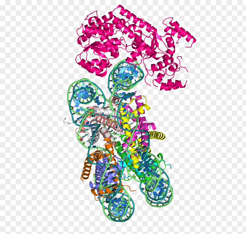 SWI/SNF Chromatin Structure Remodeling (RSC) Complex Nucleosome Protein Domain PNG
