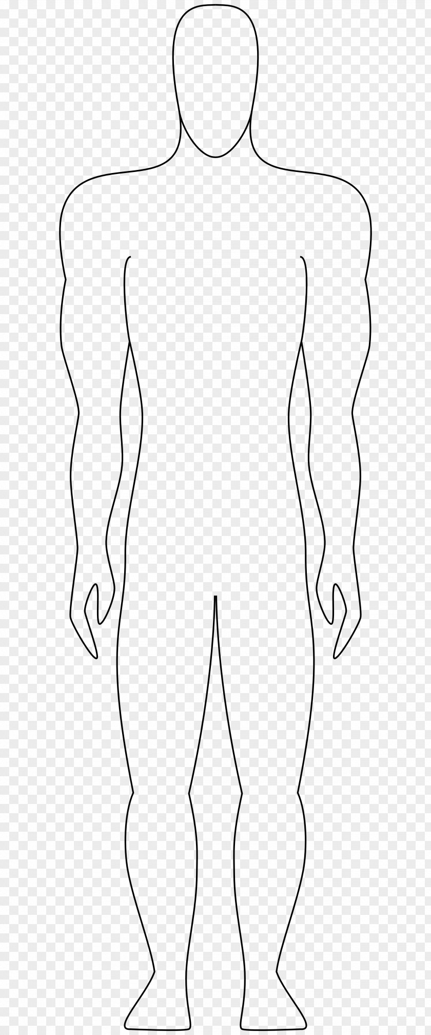 Drawing Human Body Homo Sapiens Sketch PNG