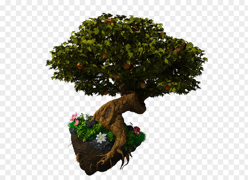 Floating Island Tree Trunk Fantasy Sport Football PNG