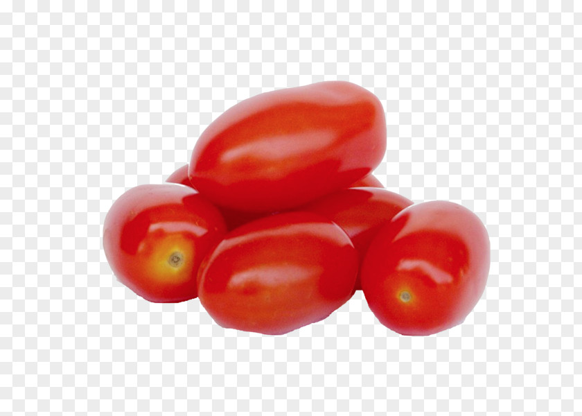 Vegetable Italian Cuisine Cherry Tomato Roma Plum Beefsteak PNG