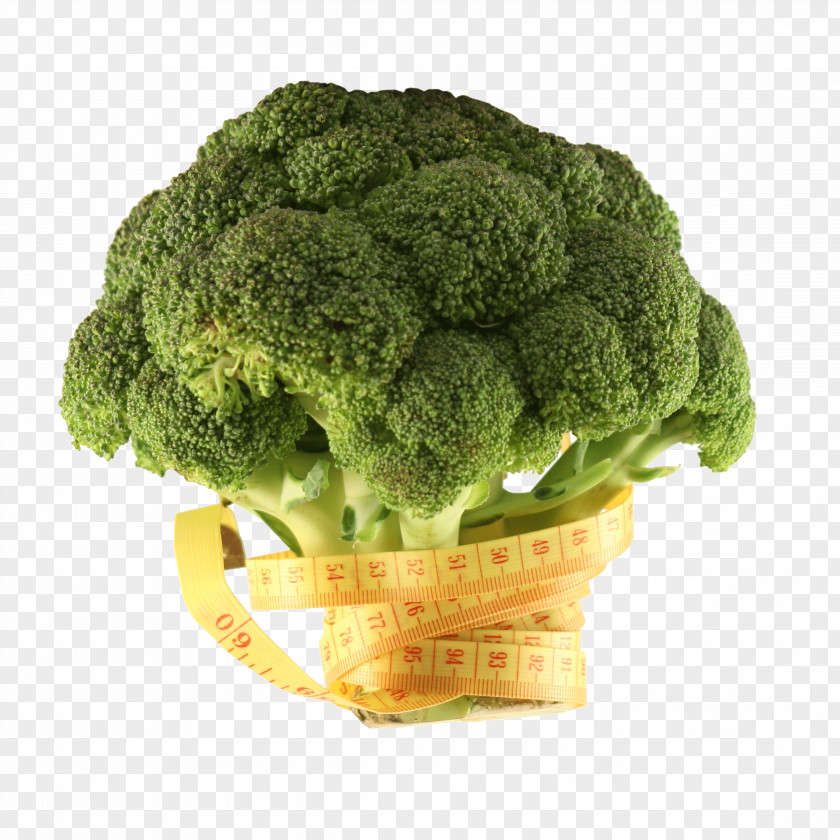 Broccoli Romanesco Cauliflower Cabbage Vegetable PNG
