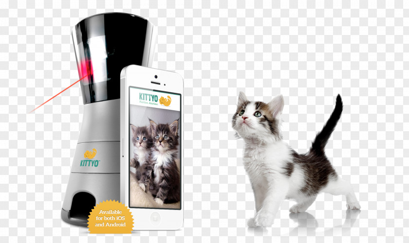 Cat Play And Toys Pet Camera Speak To PNG