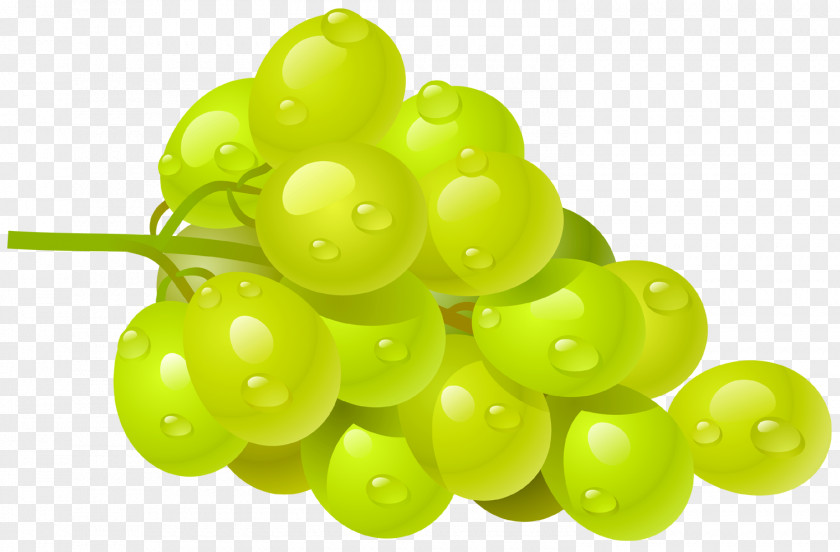 Grapefruit Common Grape Vine Wine Clip Art PNG
