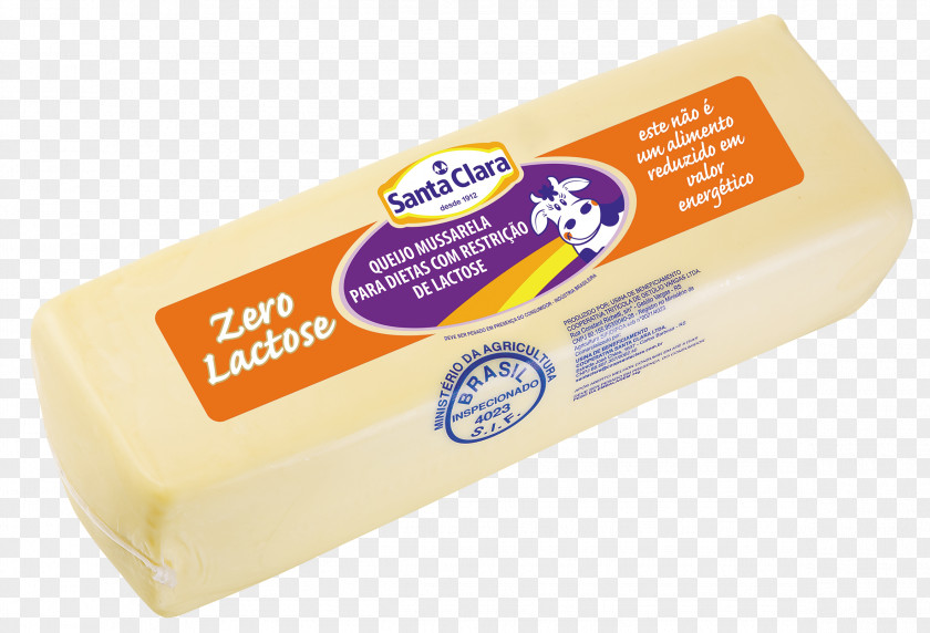 Lactose Processed Cheese Gruyère Milk Lasagne Parmigiano-Reggiano PNG