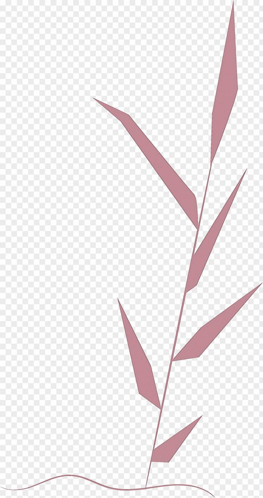 Leaf Plant Stem Root Petal Tree PNG