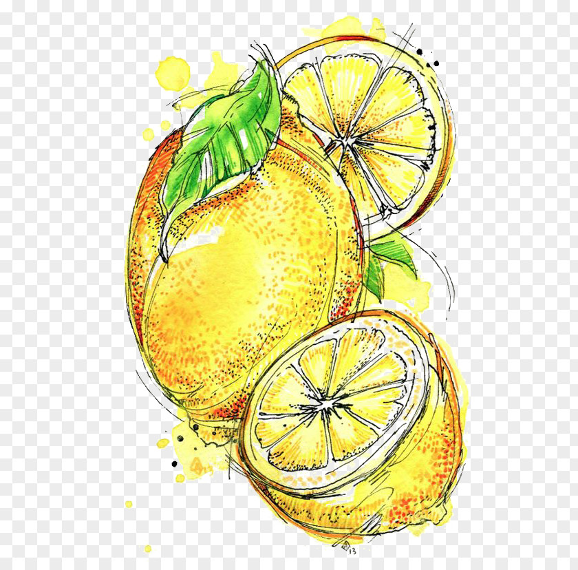 Lemon Lemon-lime Drink Cocktail PNG