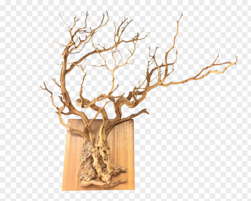Wooden Hanging Twig Root Wall Wood Tree Chairish PNG