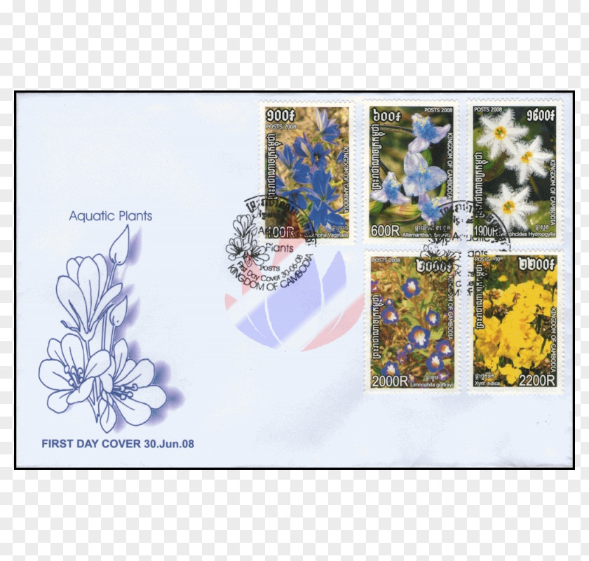 Alternanthera Reineckii Postage Stamps Guarianthe Skinneri Floral Emblem Costa Rica PNG