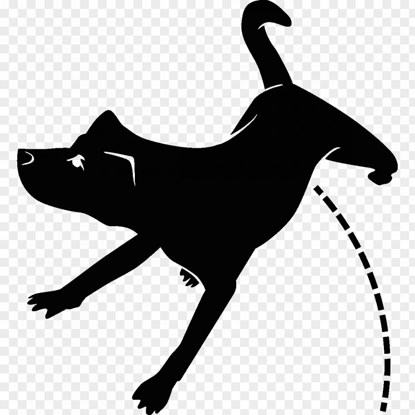 Dog Breed Cat Leash Clip Art PNG