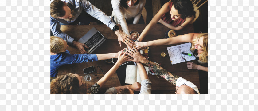 Entrepreneurial Team Teamwork Management Building Organization PNG