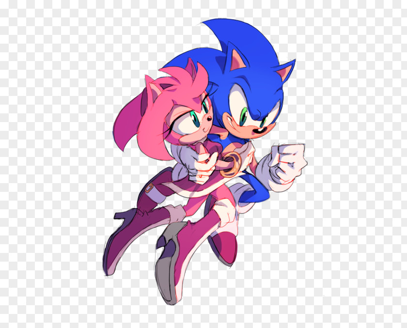 Hedgehog Amy Rose Sonic The Mammal Image PNG