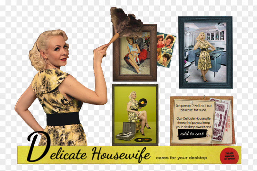 Housewife Advertising Picture Frames PNG
