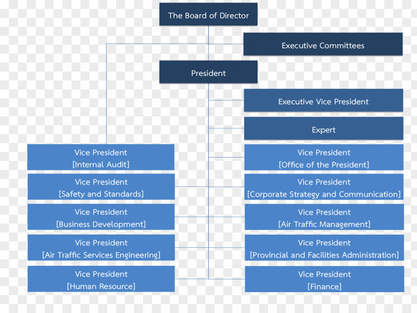 Organizational Chart Management Company PNG