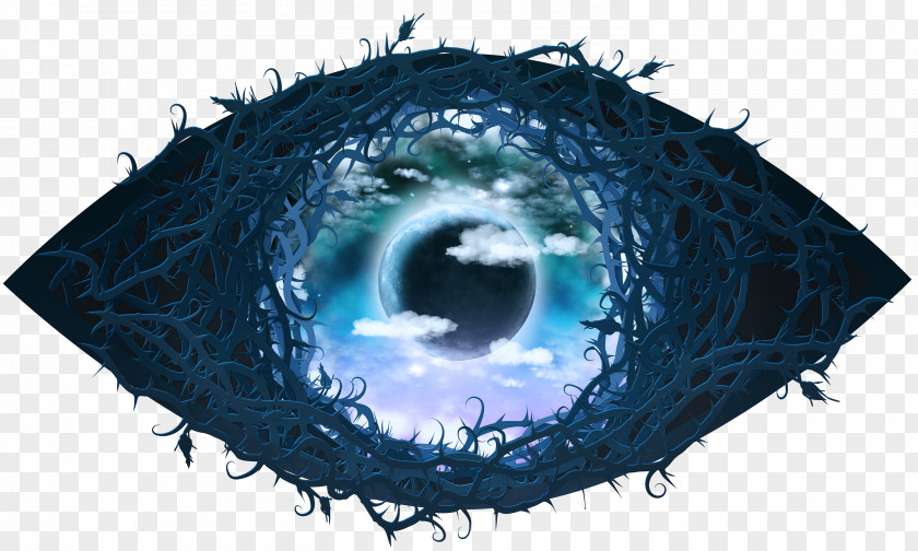 Season 19 Reality TelevisionEye Celebrity Big Brother 15 PNG