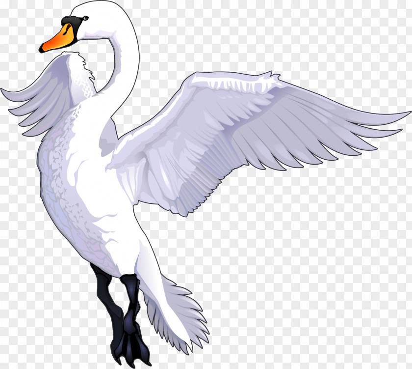 Swan Tundra Drawing Cartoon Royalty-free PNG