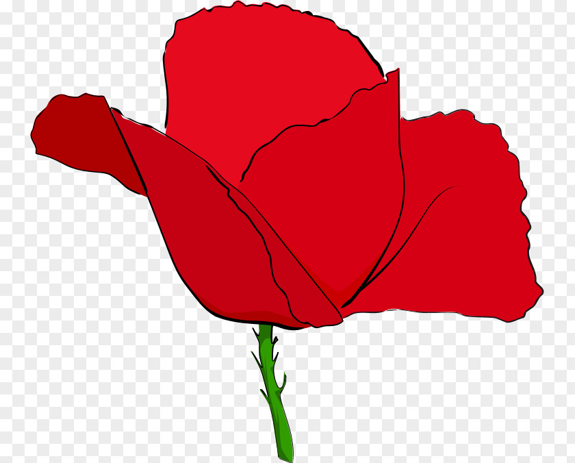 Talk Remembrance Poppy Common Clip Art PNG