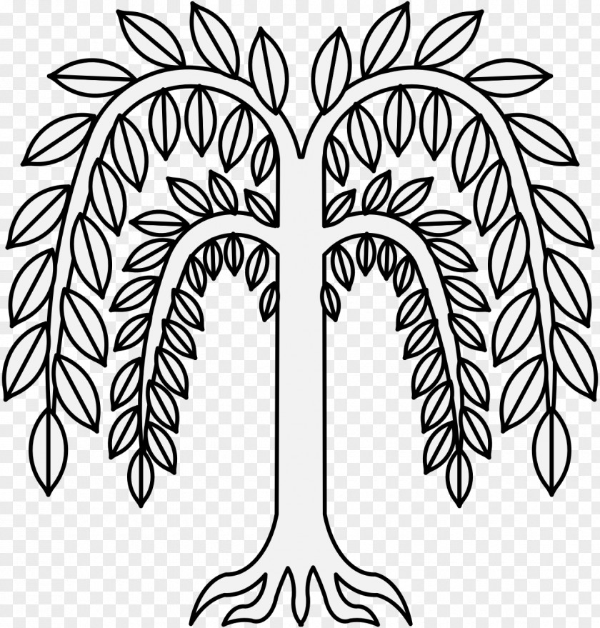 Willow Trea Tree Leaf Drawing Weeping Plant PNG