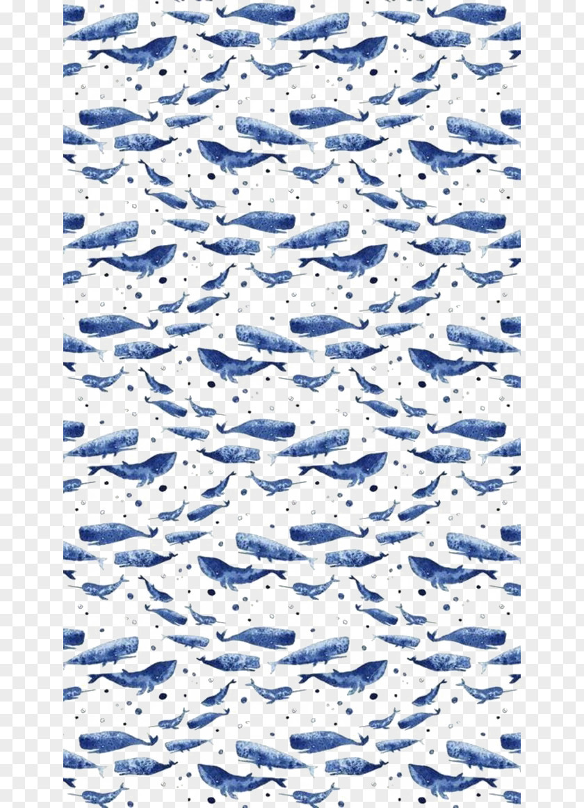 Blue Whale Drawing Wallpaper PNG