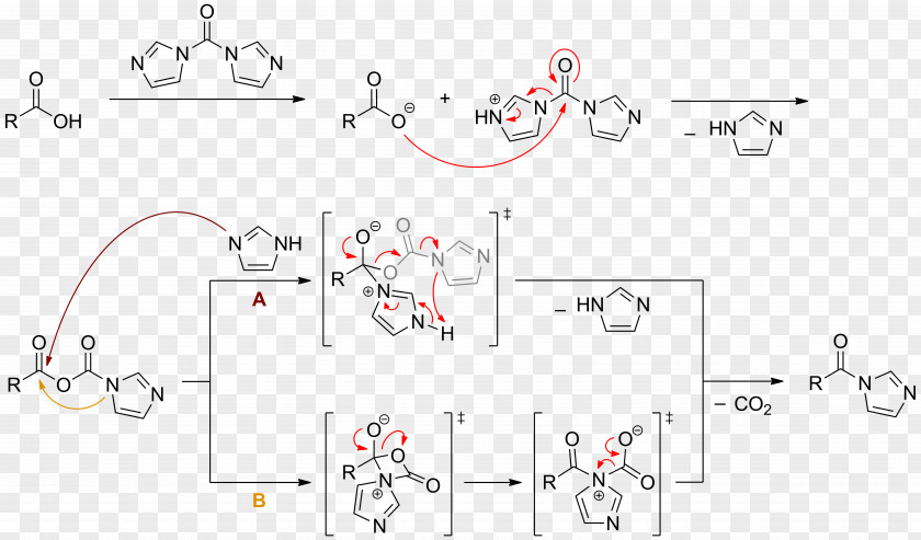 Carbonyldiimidazole Chemical Reaction Coupling Peptide Synthesis Amino Acid PNG