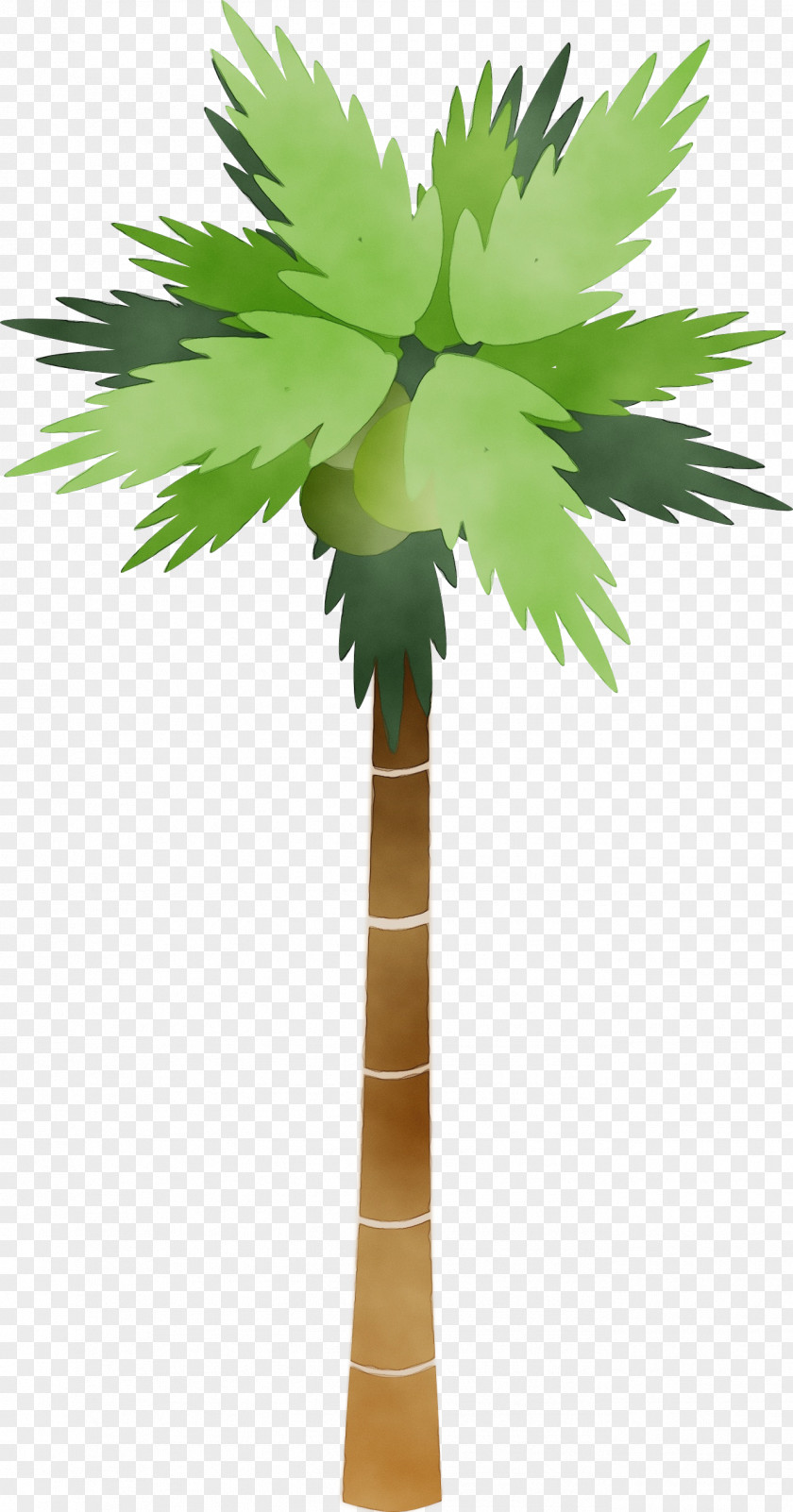 Clip Art Palm Trees Vector Graphics PNG