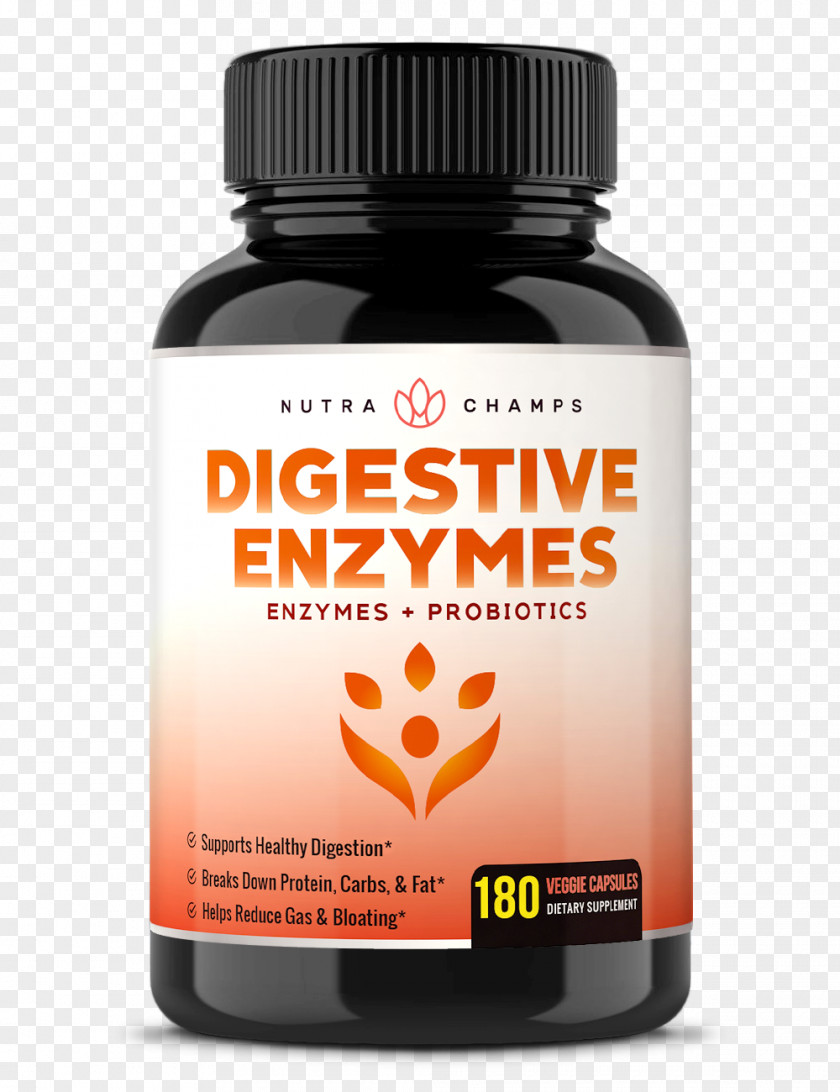 Digestive Enzyme Dietary Supplement Asian Ginseng Ginsenoside American Capsule PNG