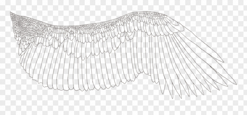Eagle Sketch White Line Art Pattern PNG