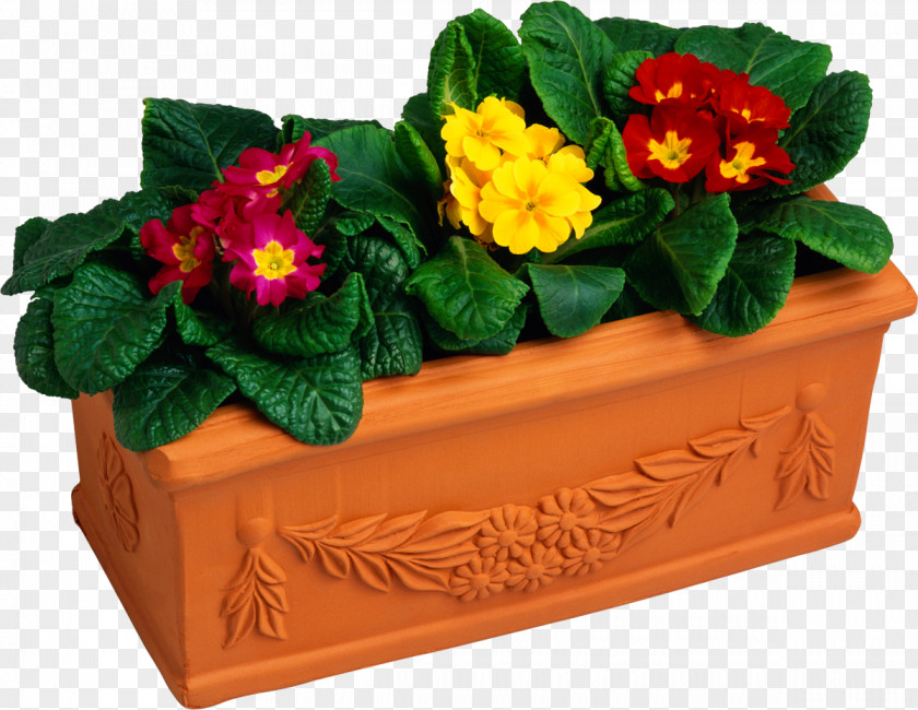Flower Flowerpot Stock Photography Clip Art PNG
